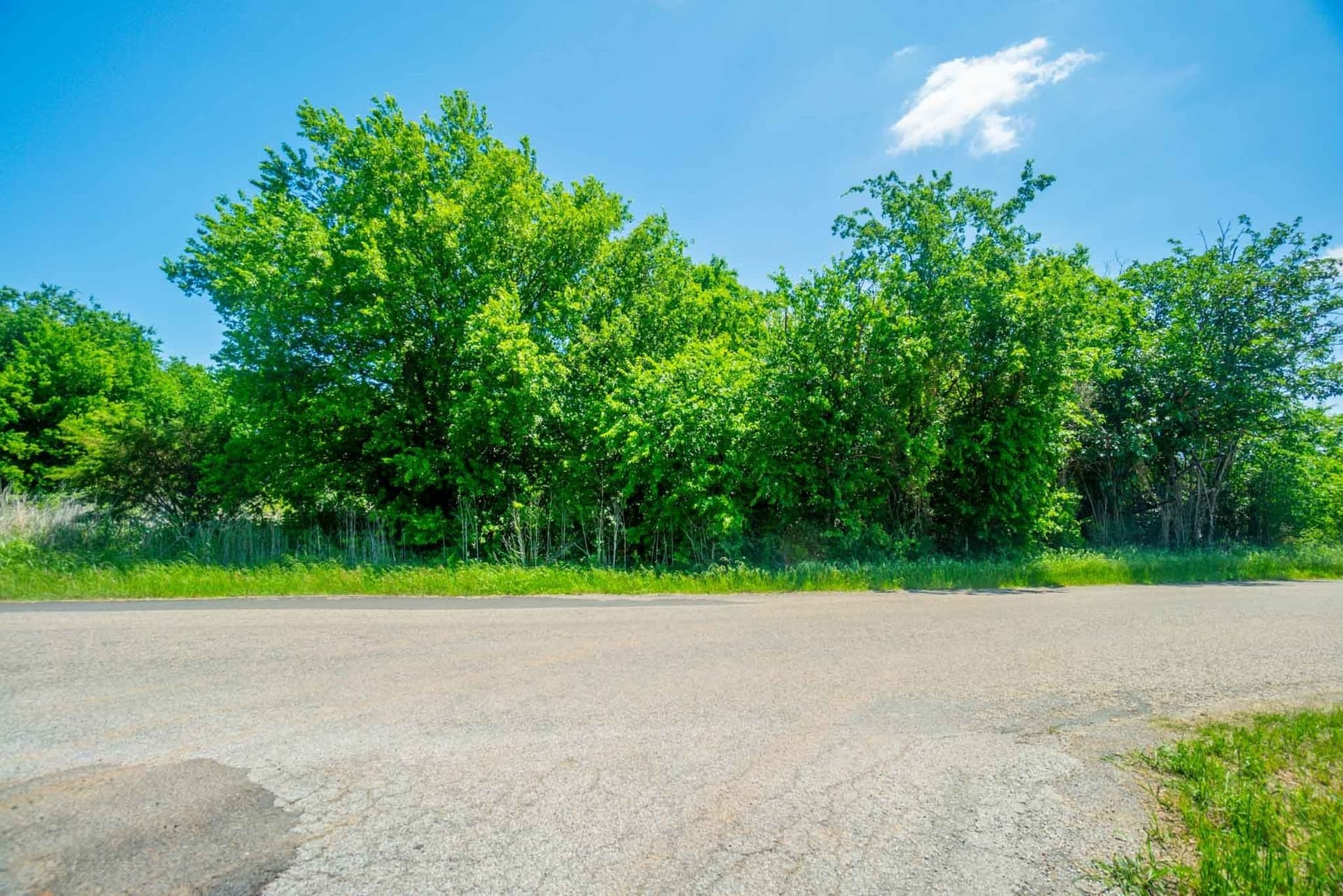 0.07 acres in Hood County - photo 6