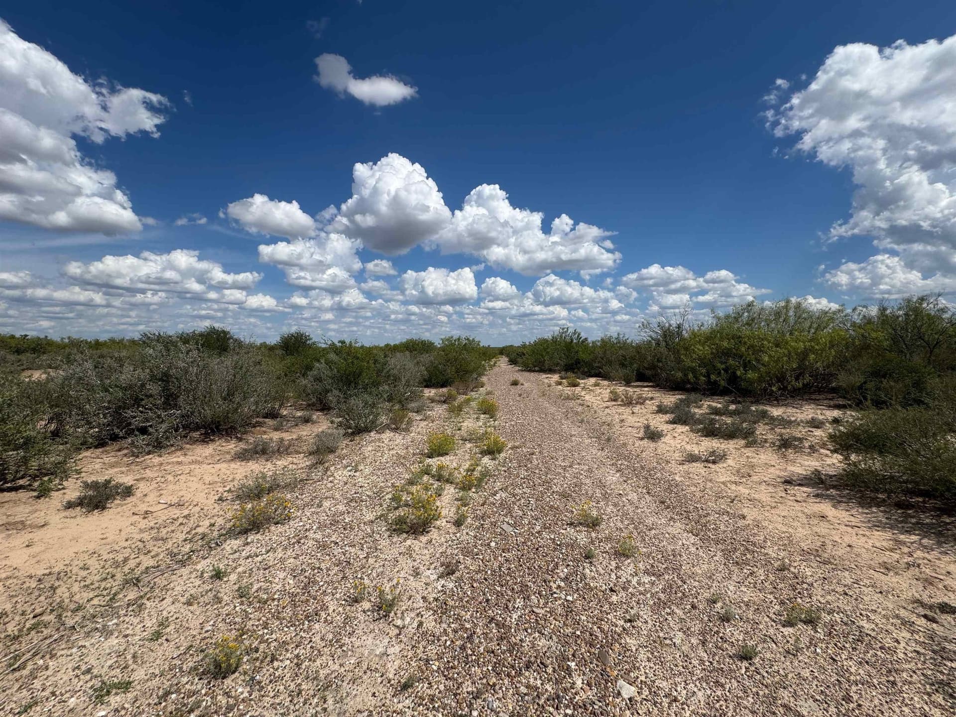 54 acres in Webb County gallery image 3