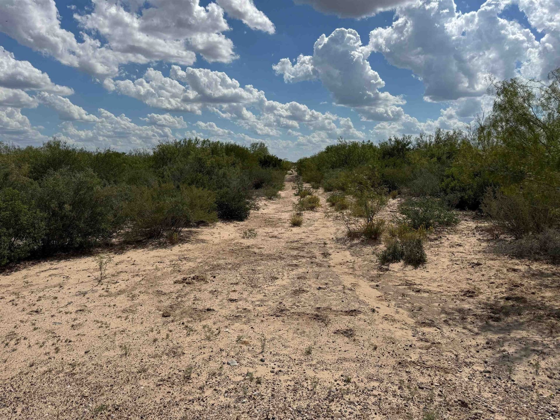 54 acres in Webb County gallery image 2