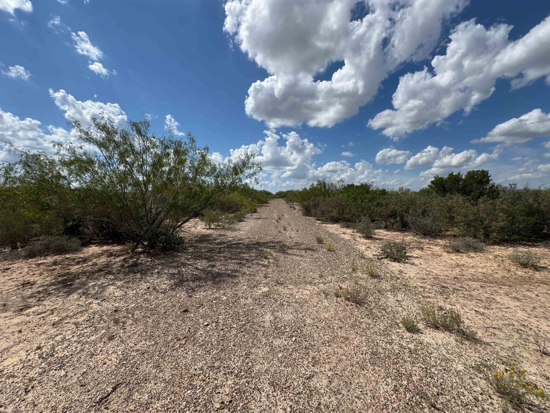 54 acres in Webb County gallery image 4