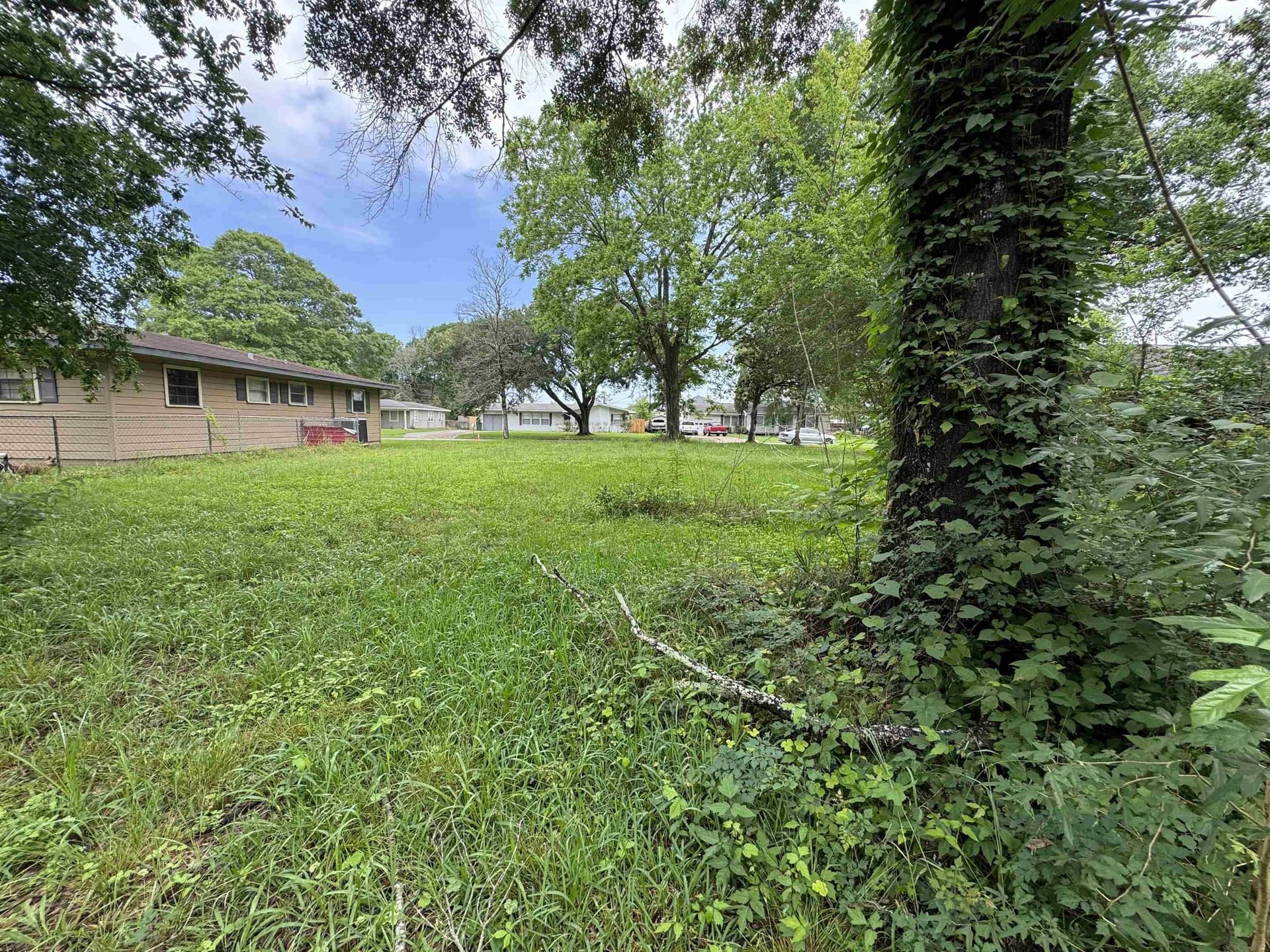 0.2 acres in Texas County gallery image 4