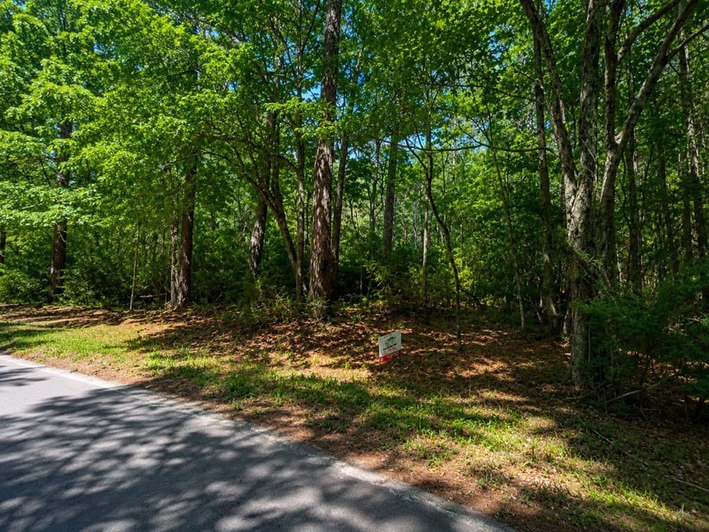 0.76 acres in Texas County gallery image 2