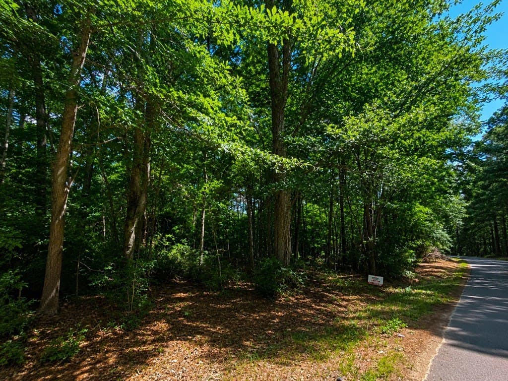 0.76 acres in Texas County featured view