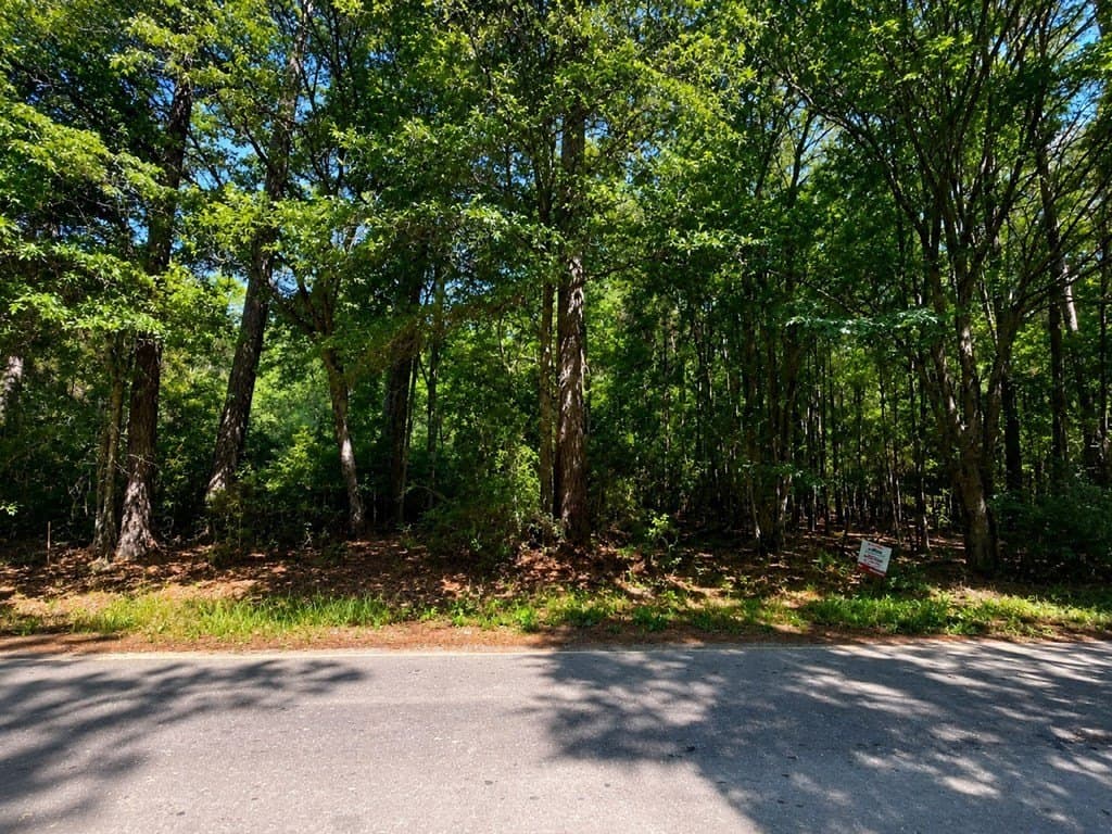 0.76 acres in Texas County gallery image 3