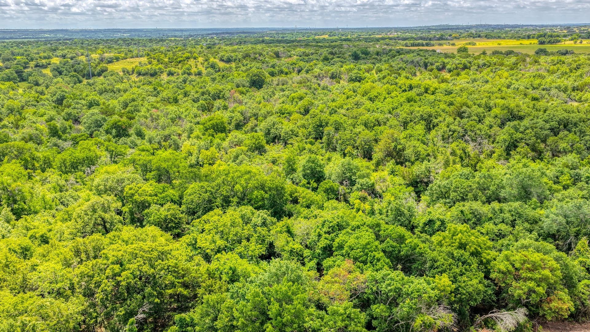 9.75 acres in Parker County - photo 8