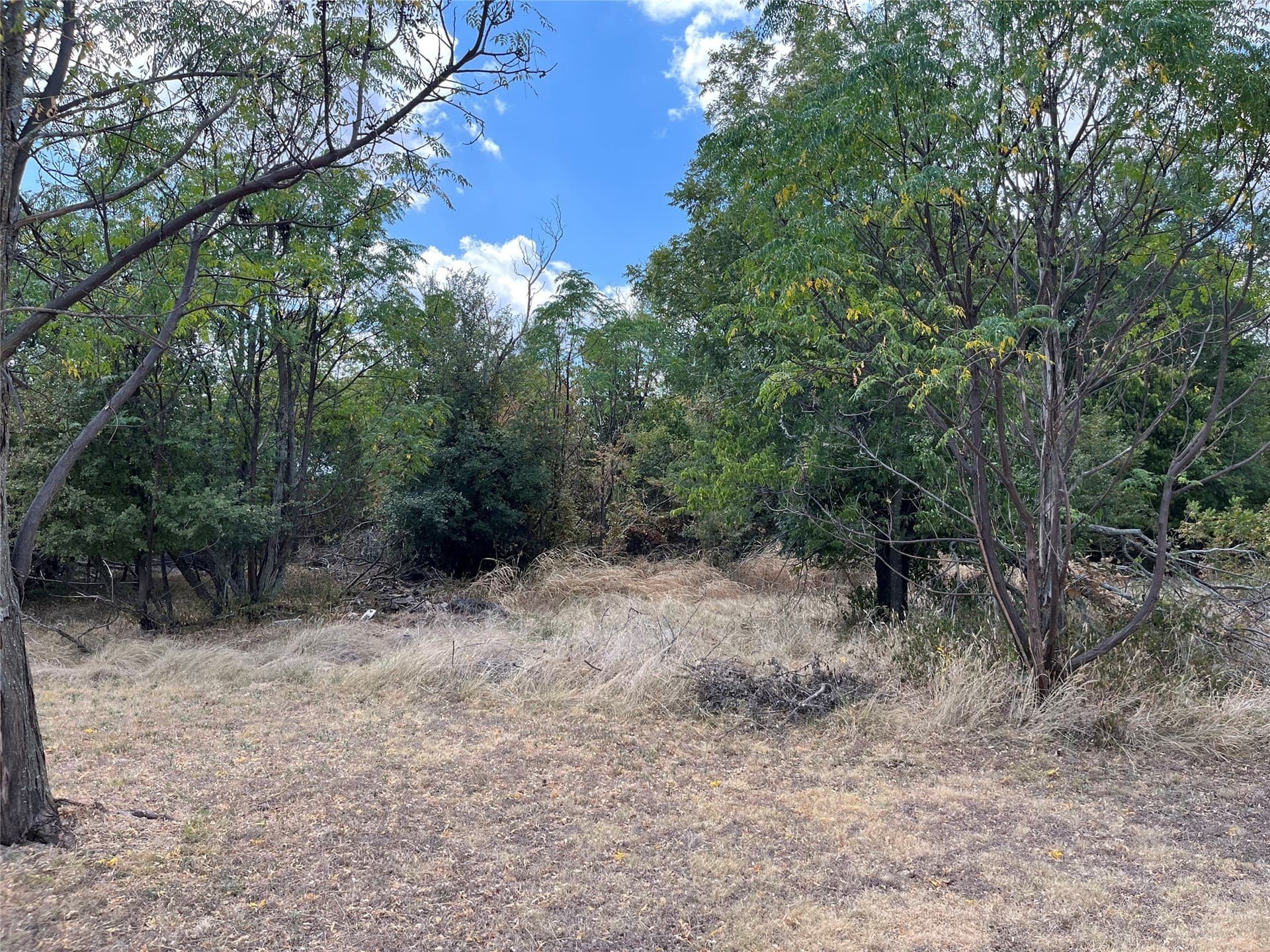 0.22 acres in Bosque County - photo 2