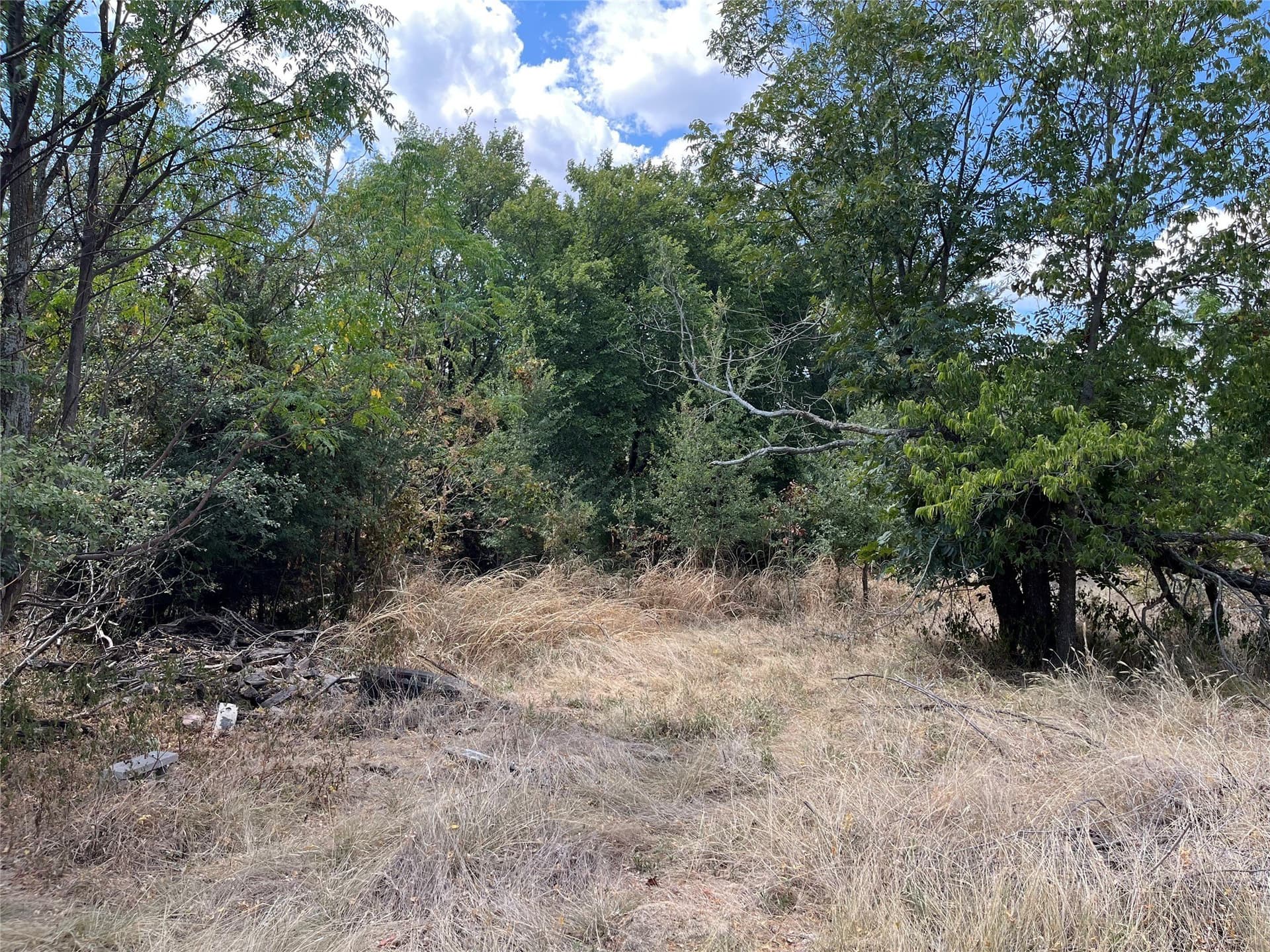 0.22 acres in Bosque County - photo 3
