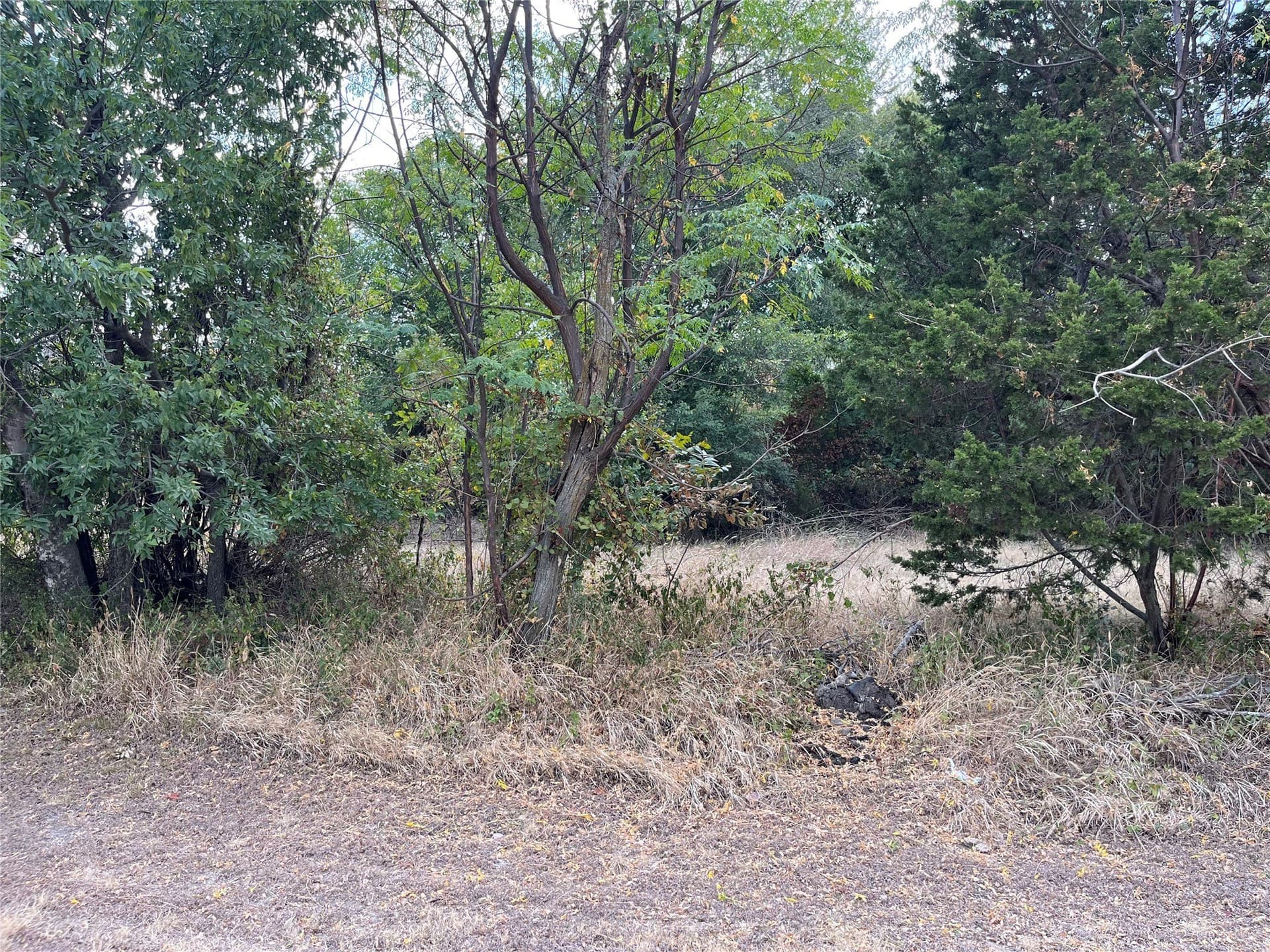 0.22 acres in Bosque County - photo 5