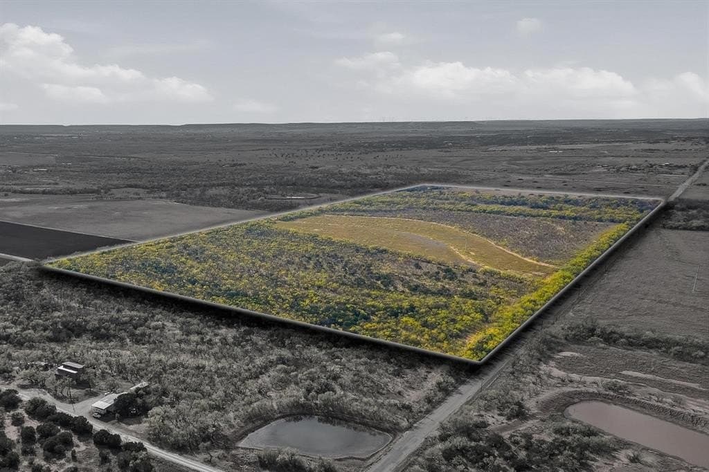 80 acres in Taylor County gallery image 2