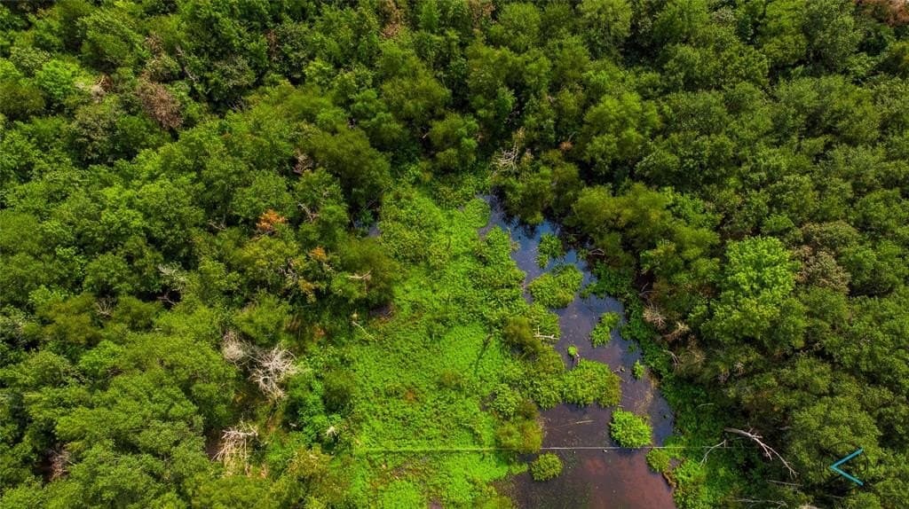 43.53 acres in Henderson County featured view