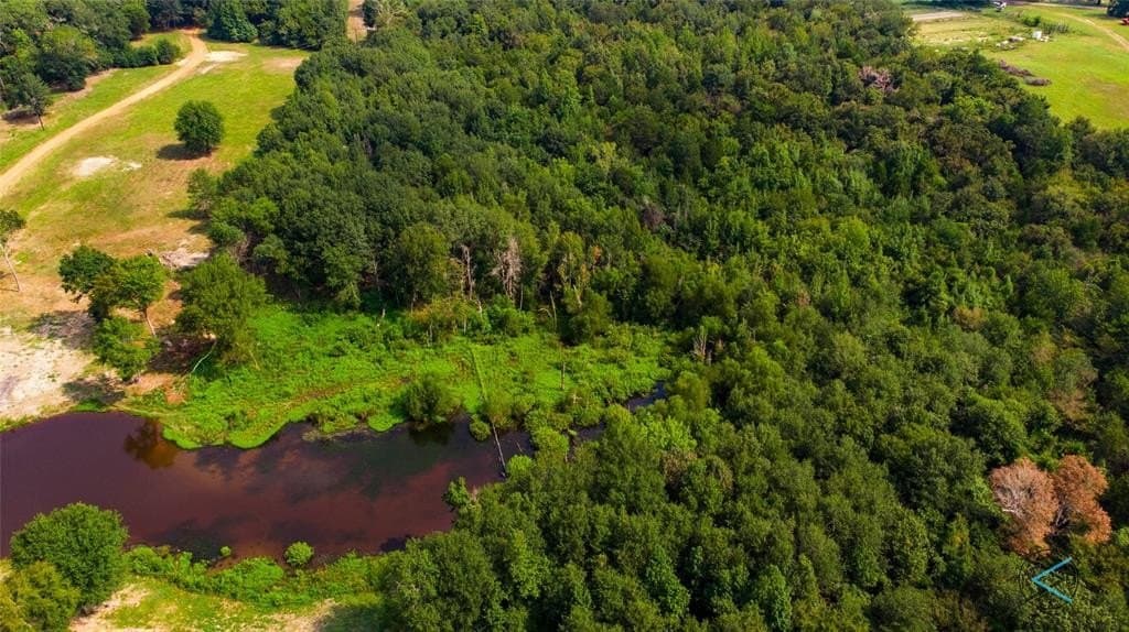 43.53 acres in Henderson County gallery image 3