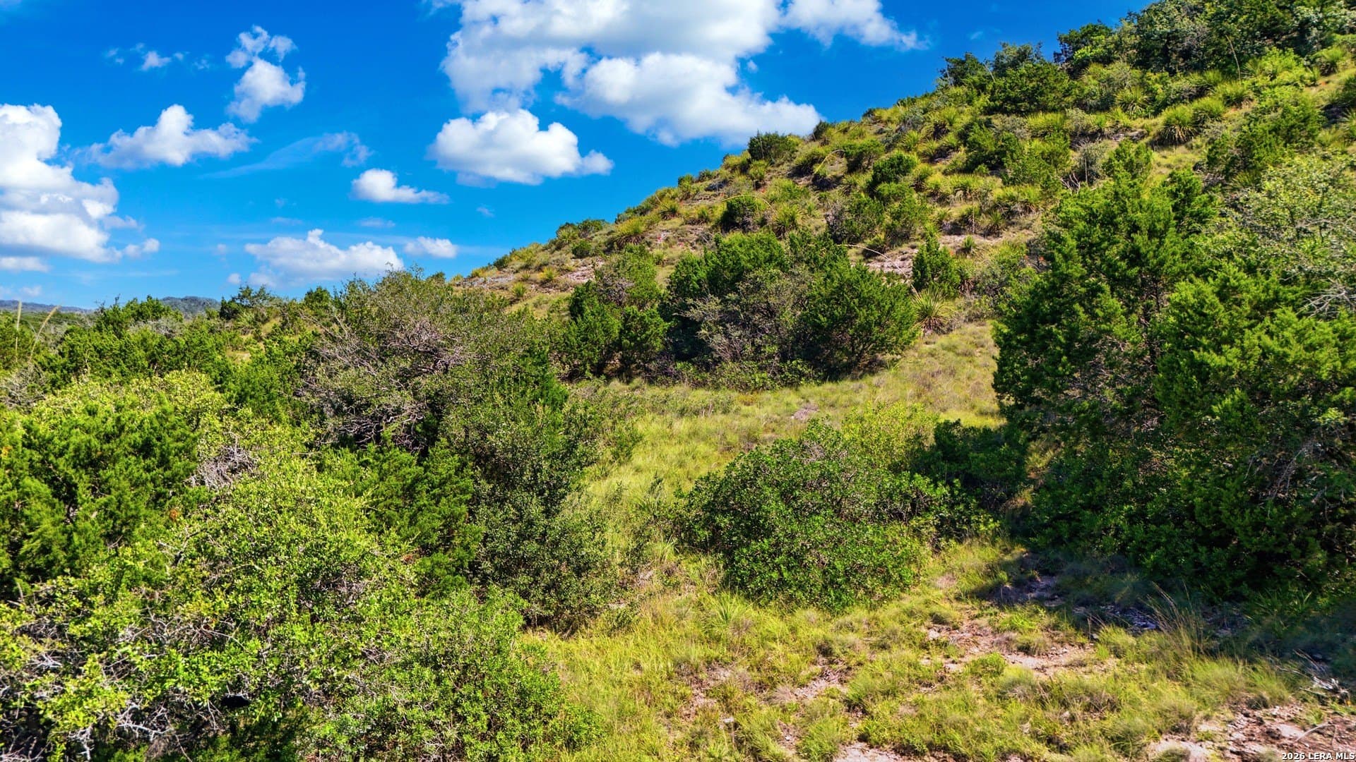 0.84 acres in Bexar County - photo 16