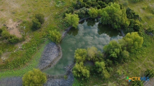 31 acres in Milam County - photo 4