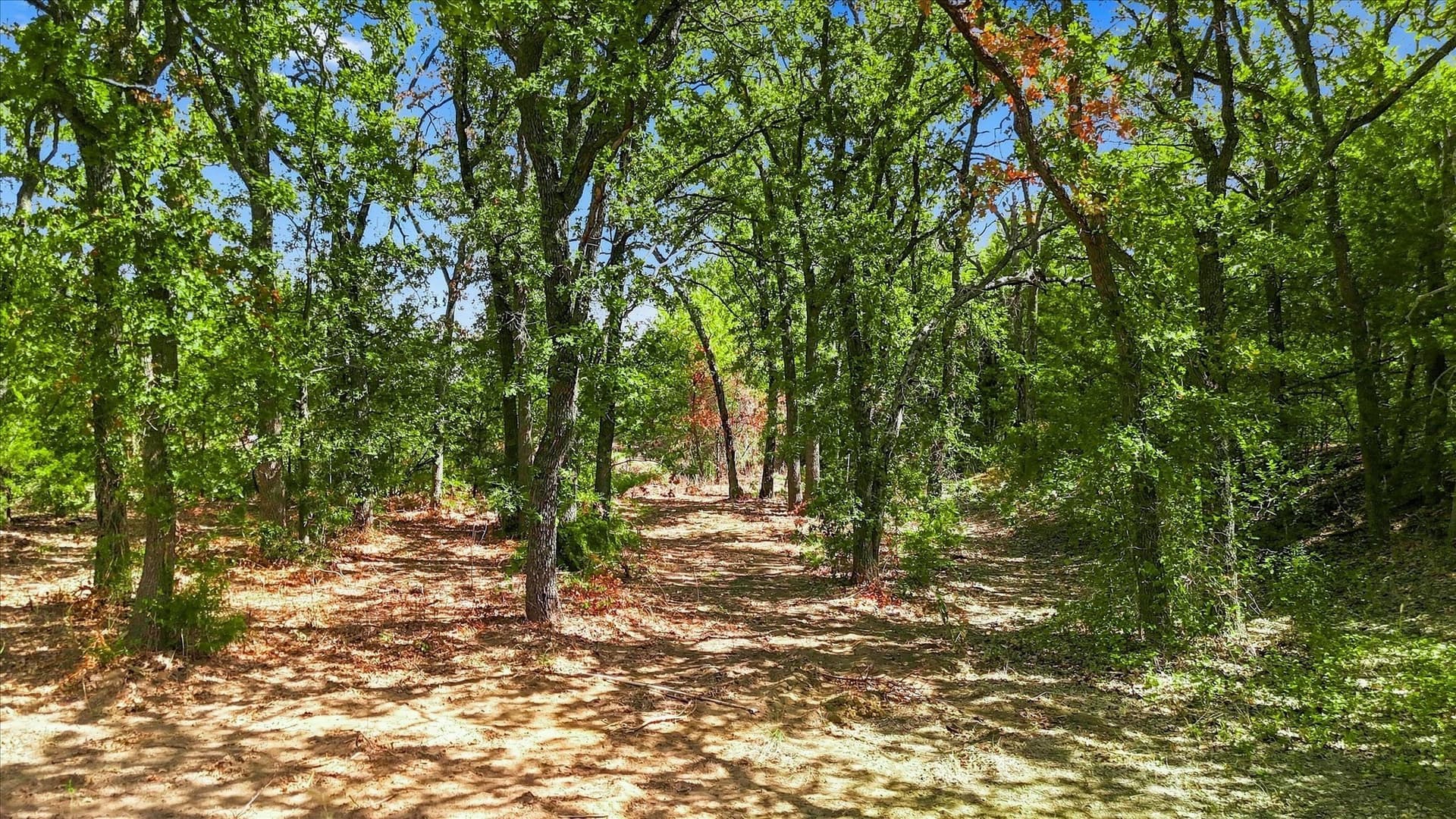 3.13 acres in Tarrant County - photo 2
