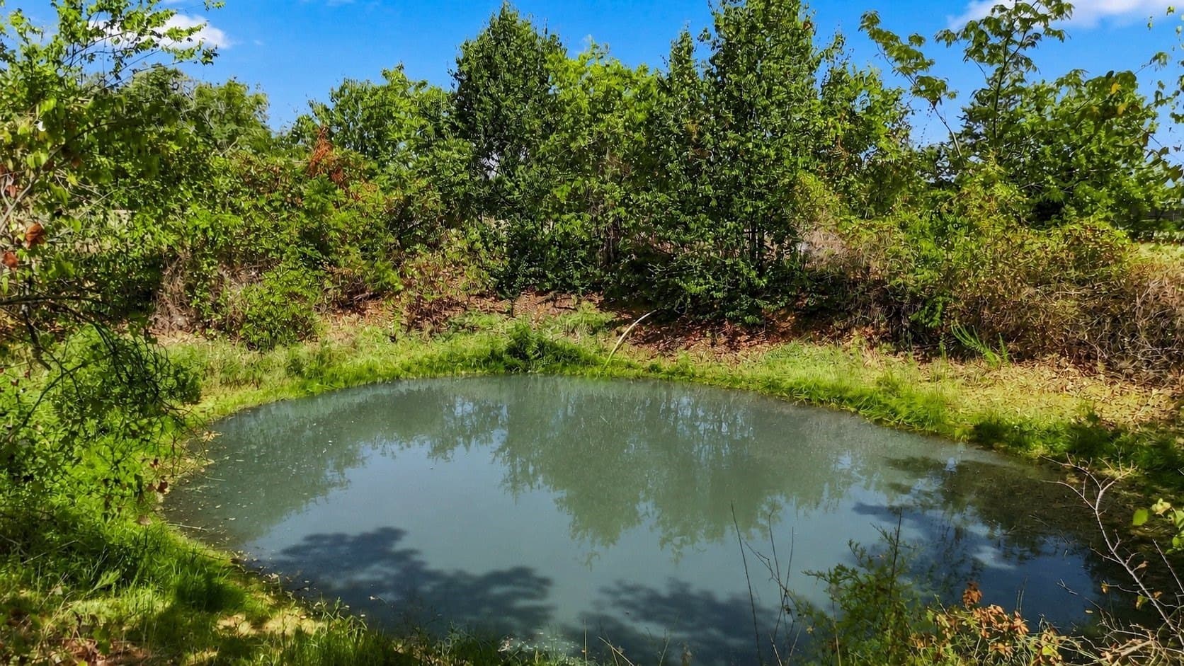 3.13 acres in Tarrant County - photo 13