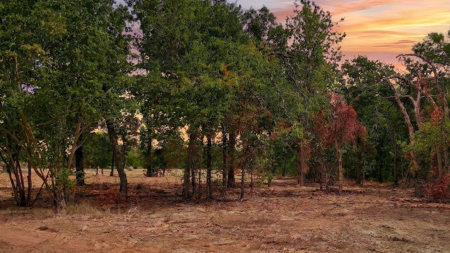 3.13 acres in Tarrant County - photo 4