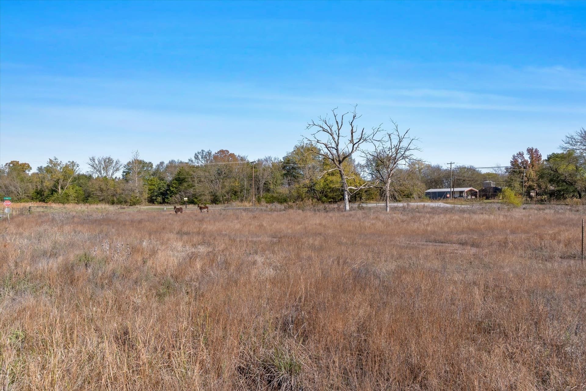 2.62 acres in Van Zandt County - photo 16