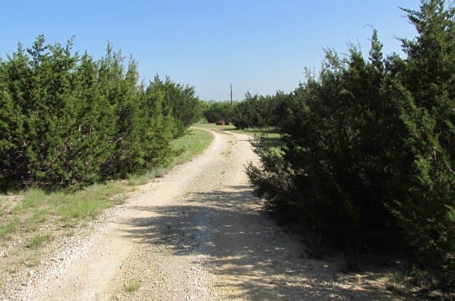 12 acres in Hamilton County gallery image 2