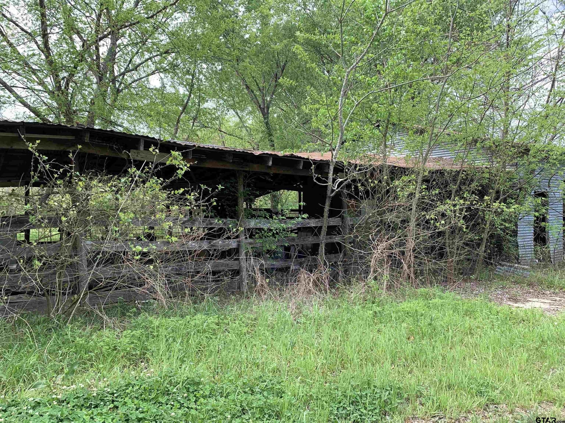 5.83 acres in Hopkins County gallery image 3