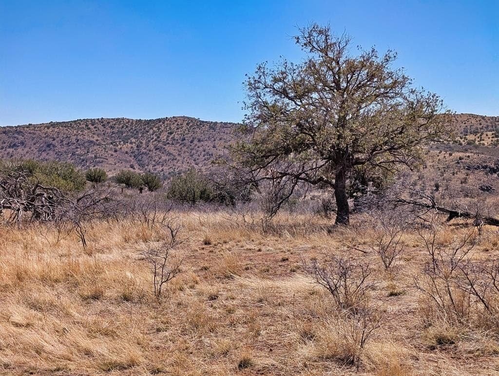 32.94 acres in Jeff Davis County - photo 61