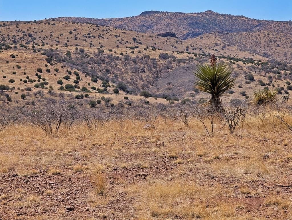 32.94 acres in Jeff Davis County - photo 59