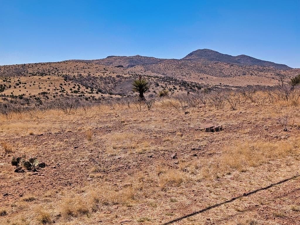 32.94 acres in Jeff Davis County - photo 60