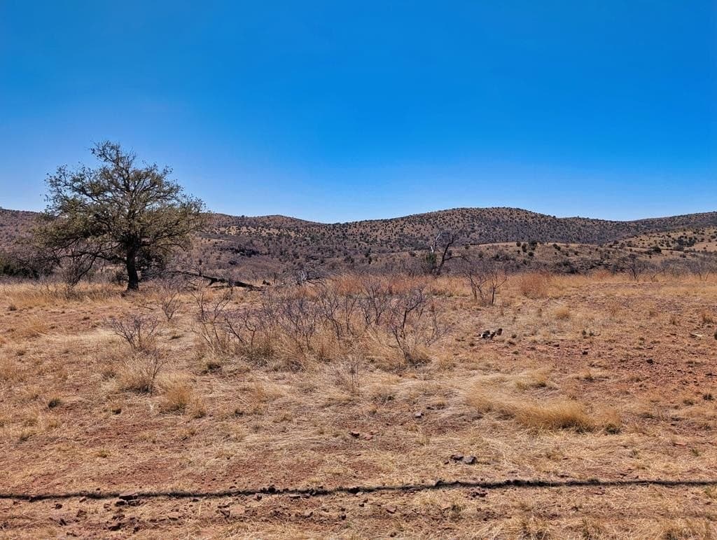 32.94 acres in Jeff Davis County - photo 58