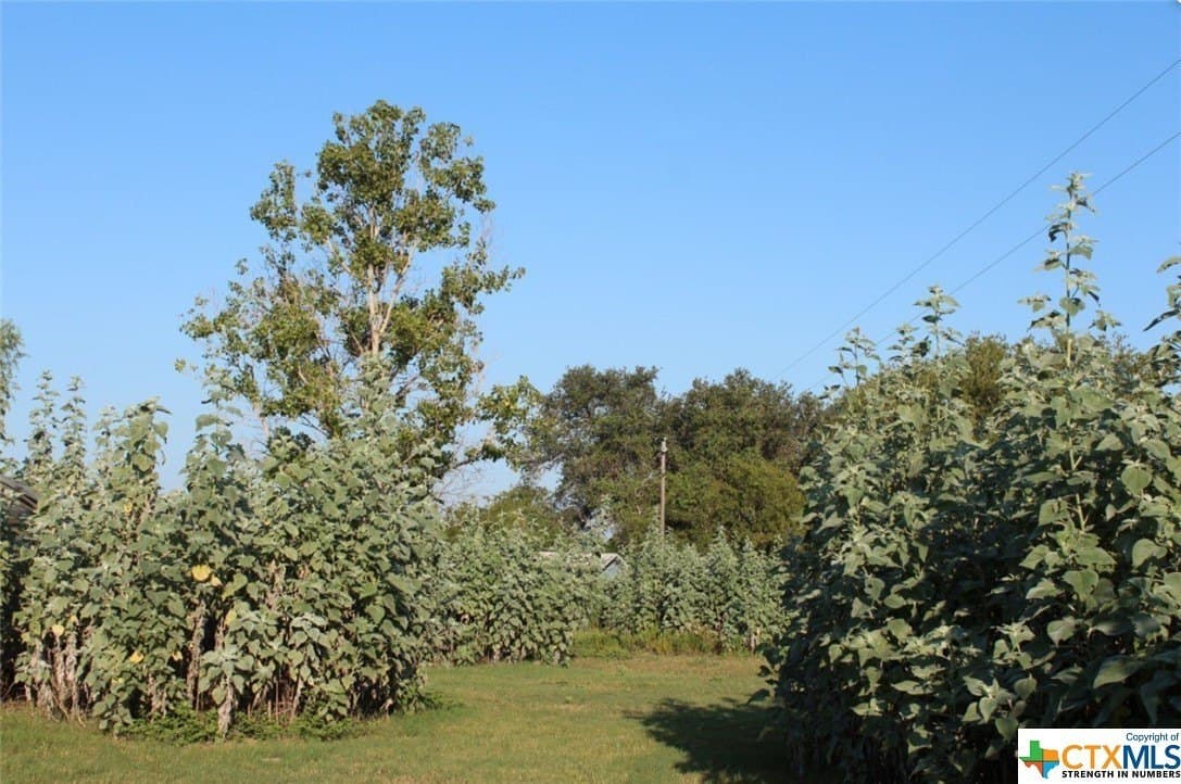 1 acres in Gonzales County - photo 8