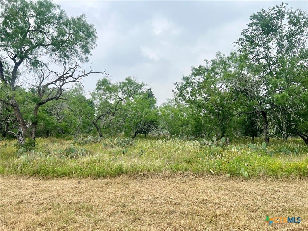 1 acres in Gonzales County