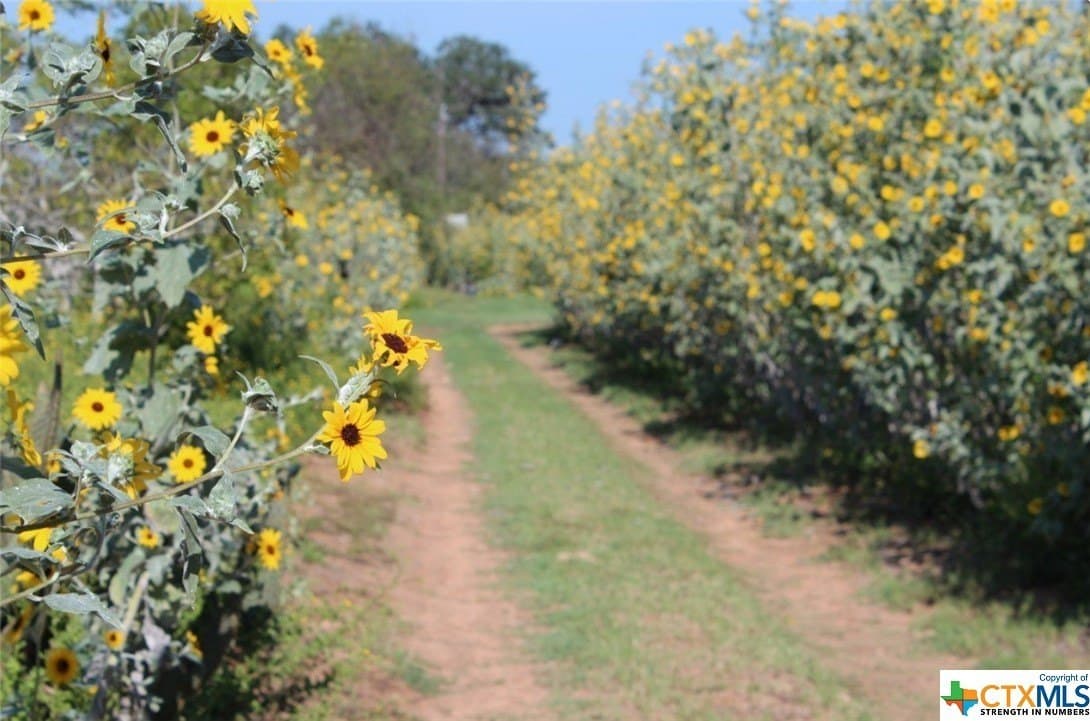 1 acres in Gonzales County - photo 12