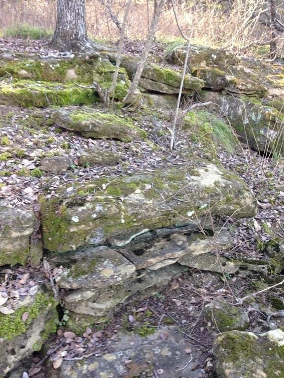 5.01 acres in Palo Pinto County gallery image 3