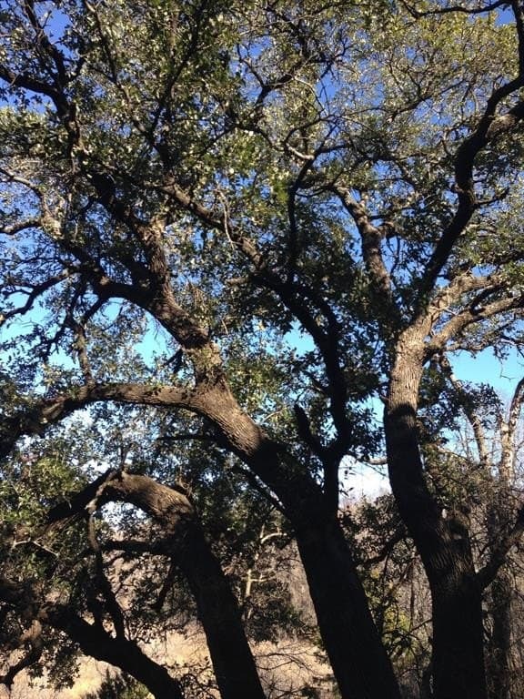 5.01 acres in Palo Pinto County