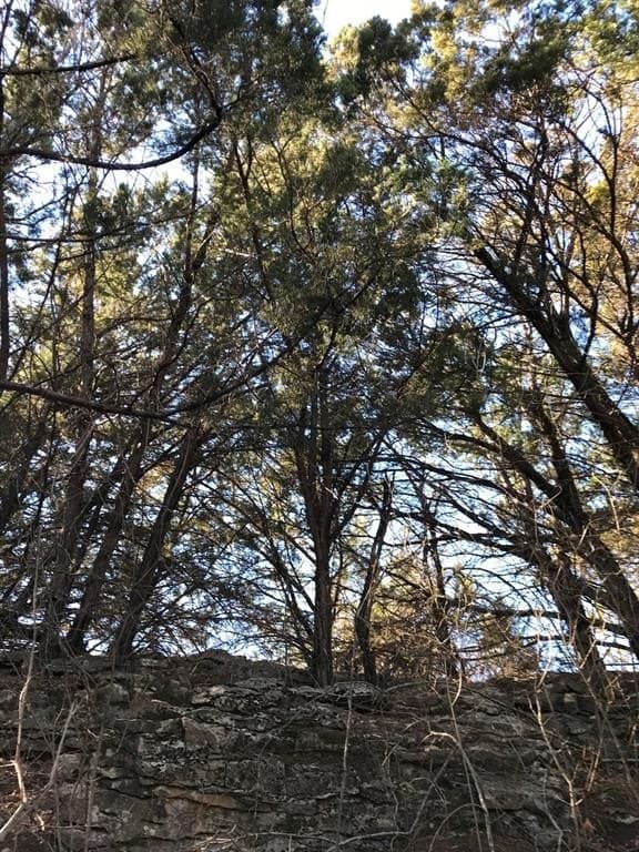 5.01 acres in Palo Pinto County gallery image 2