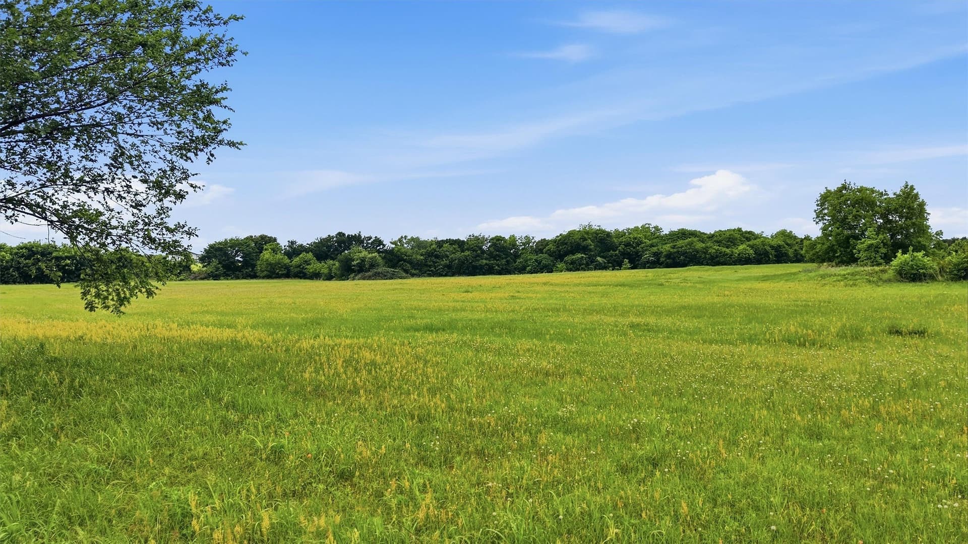 2.5 acres in Denton County - photo 15