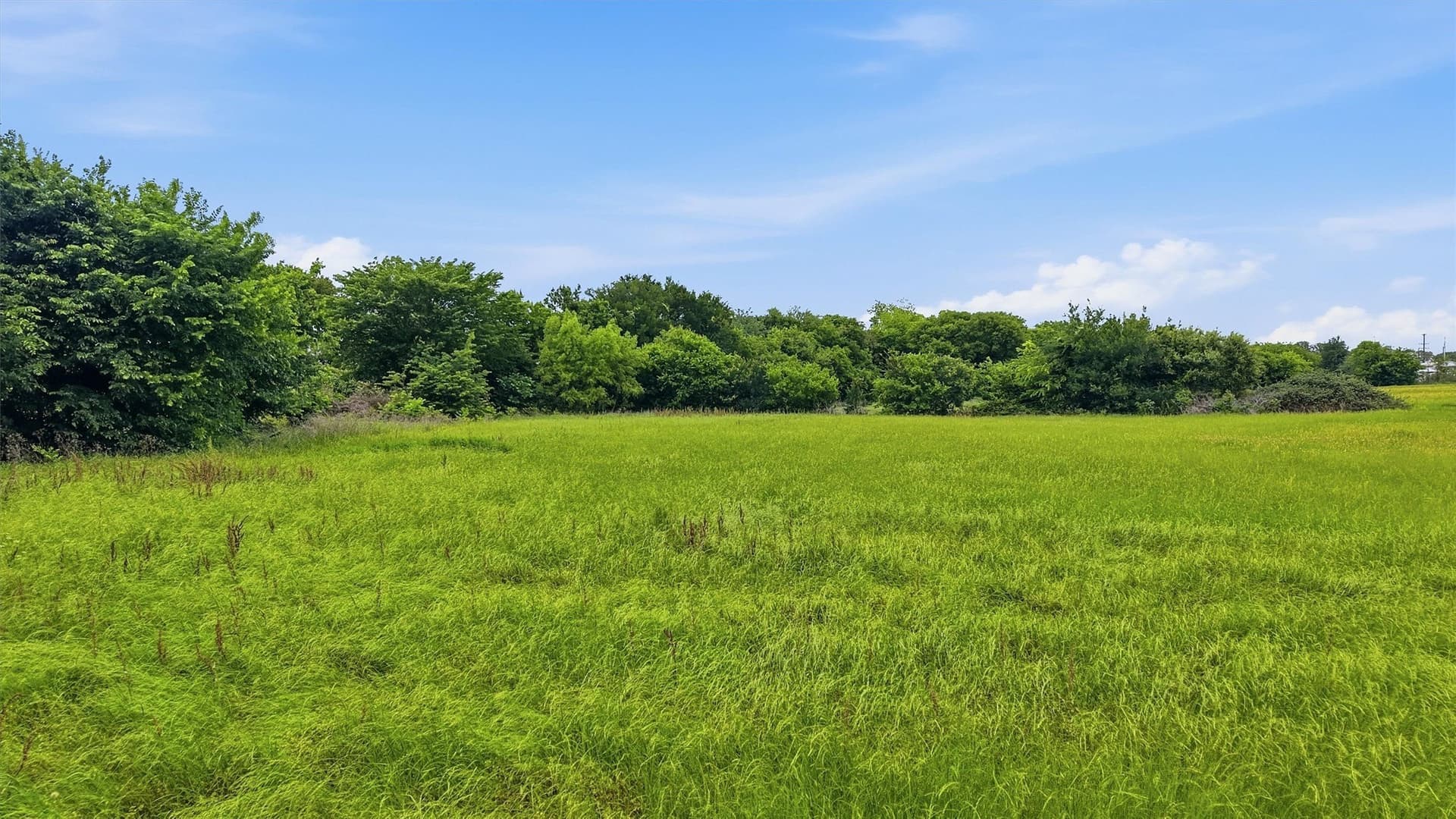 2.5 acres in Denton County - photo 13