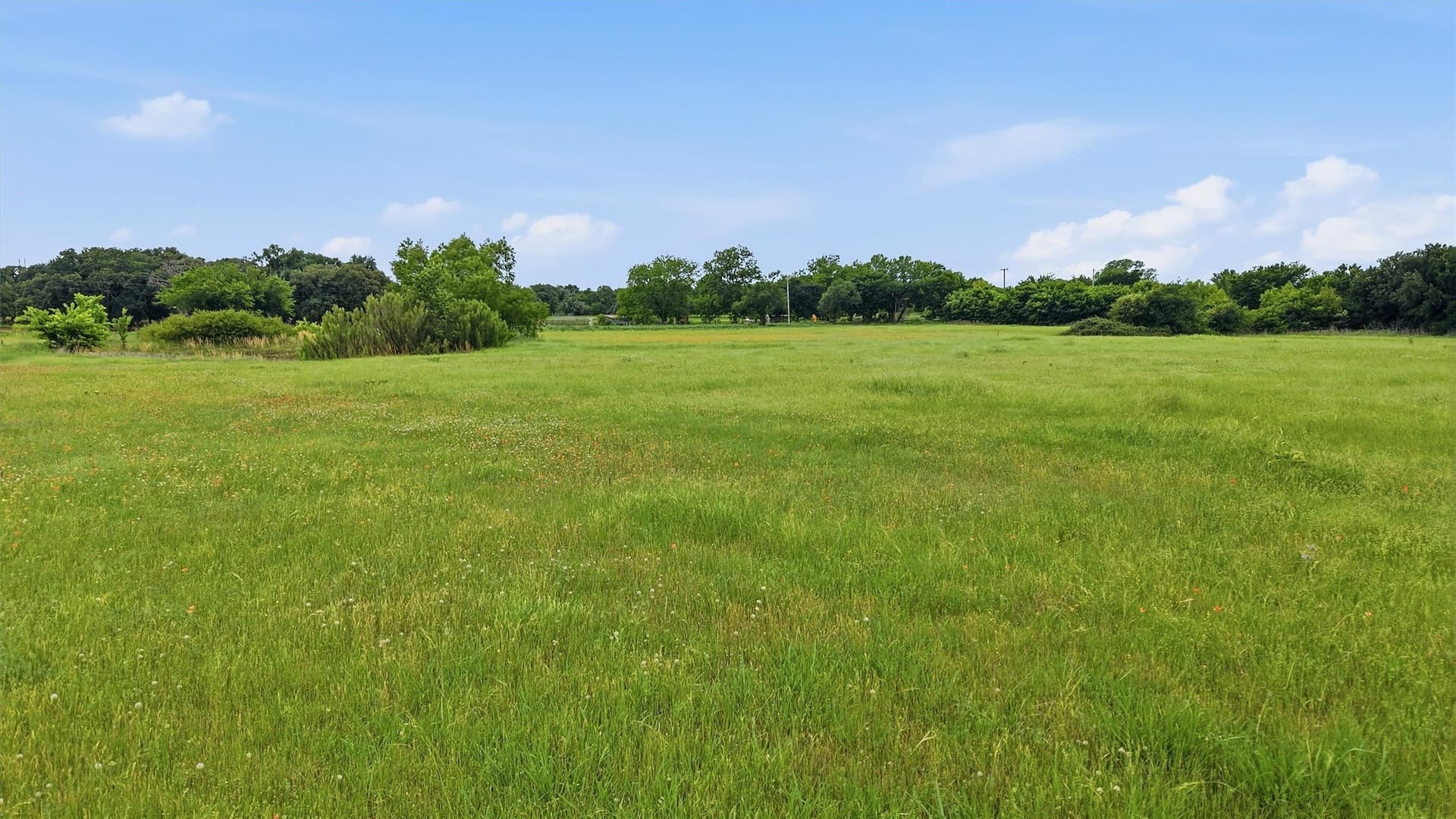2.5 acres in Denton County - photo 20