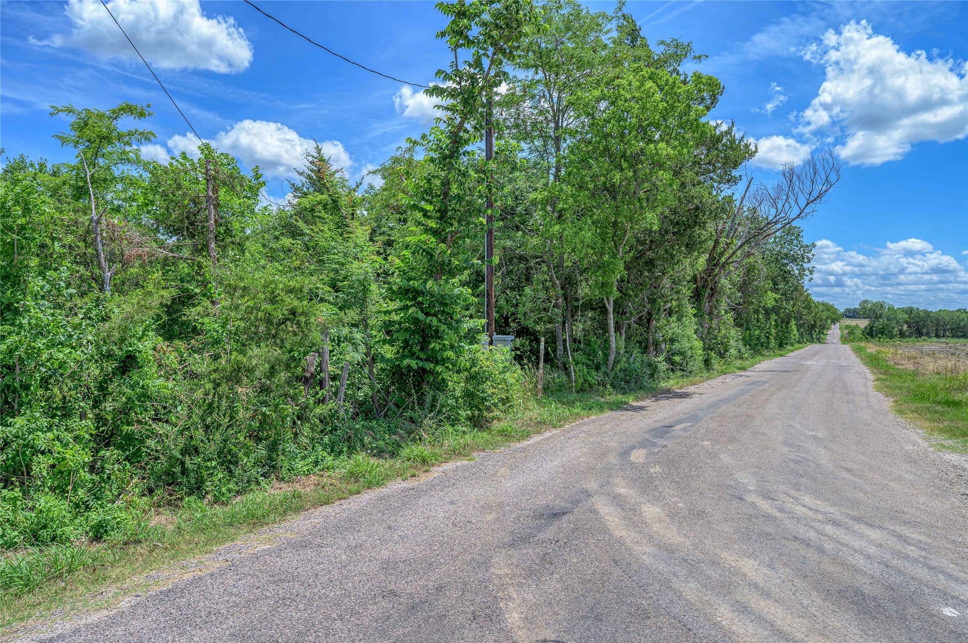 186 acres in Grayson County - photo 37