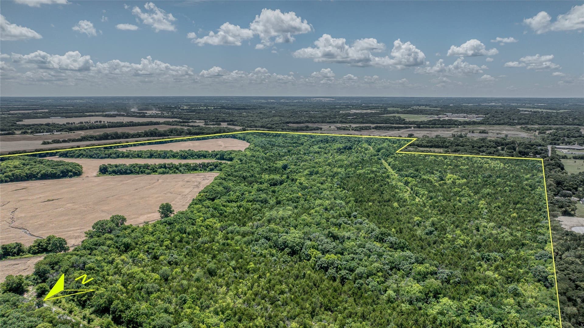 186 acres in Grayson County - photo 4
