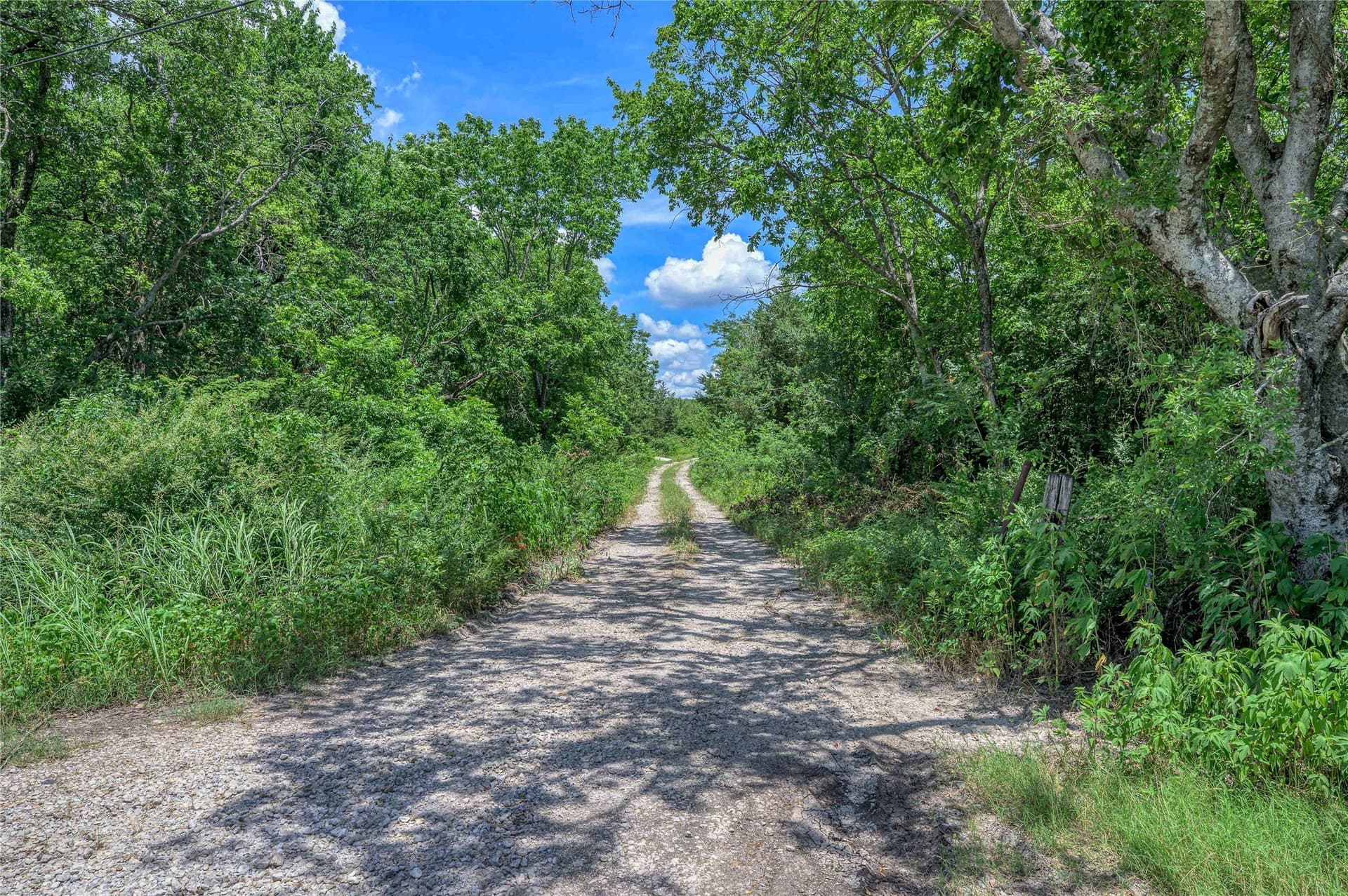 186 acres in Grayson County - photo 39