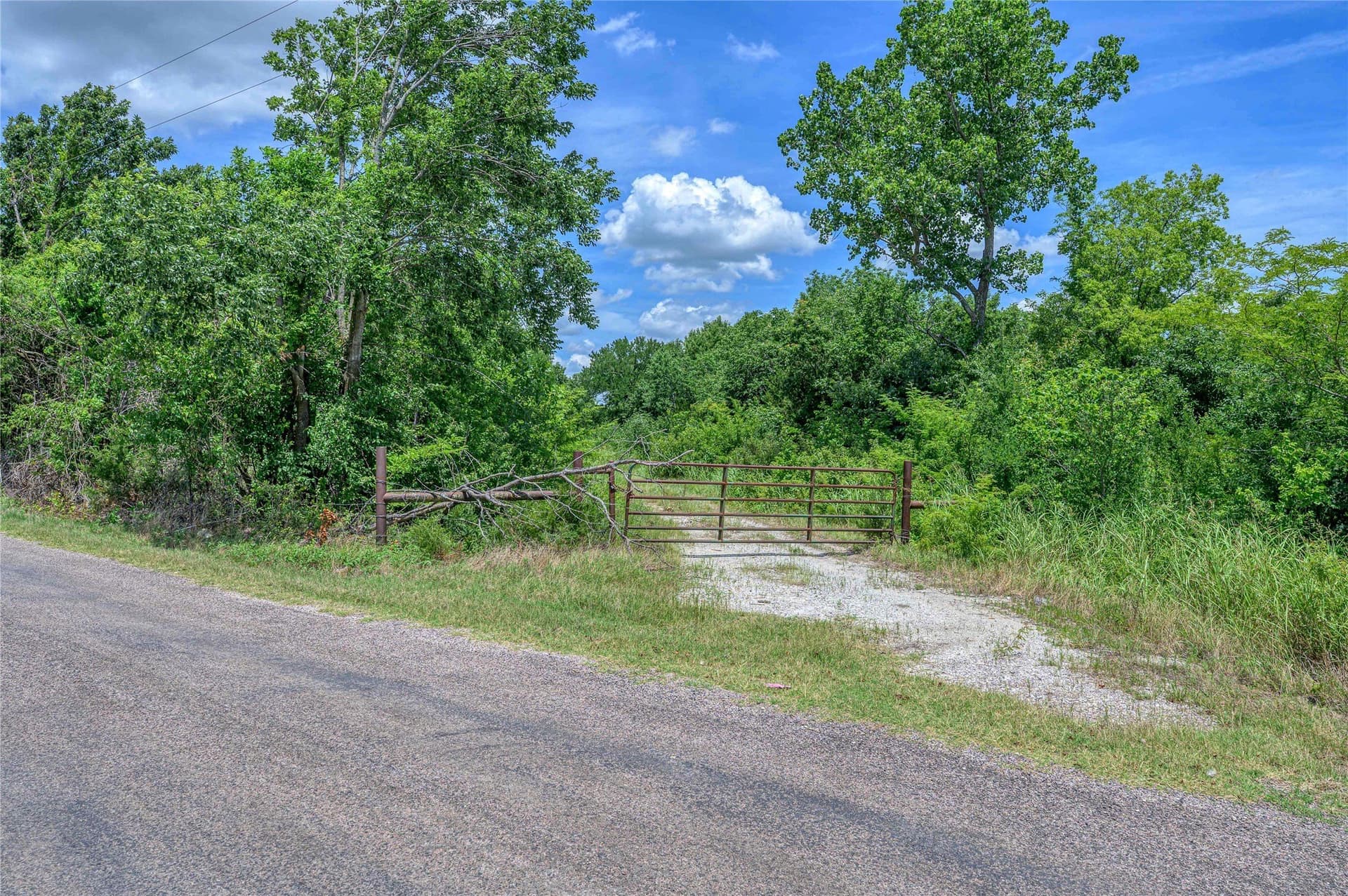 186 acres in Grayson County - photo 36