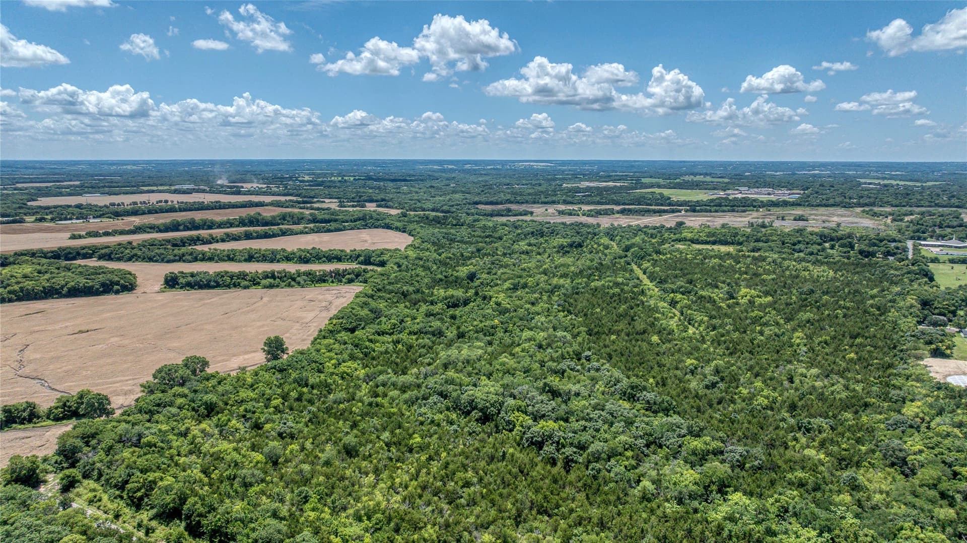 186 acres in Grayson County - photo 5