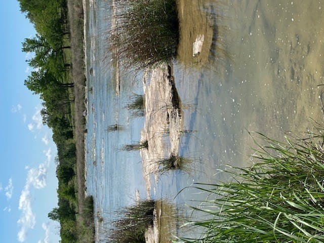 7.74 acres in Blanco County gallery image 2