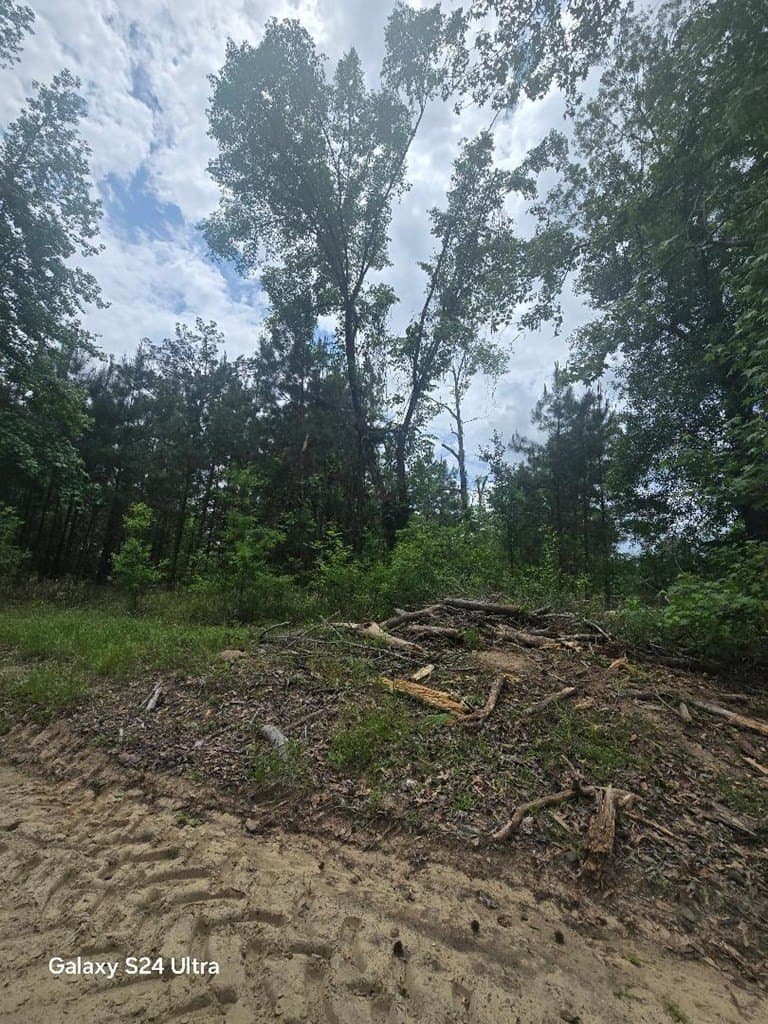 5.18 acres in Texas County gallery image 3
