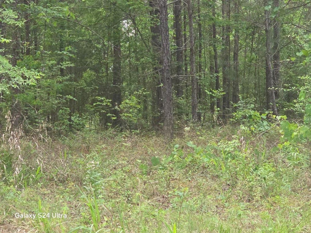 5.18 acres in Texas County gallery image 2