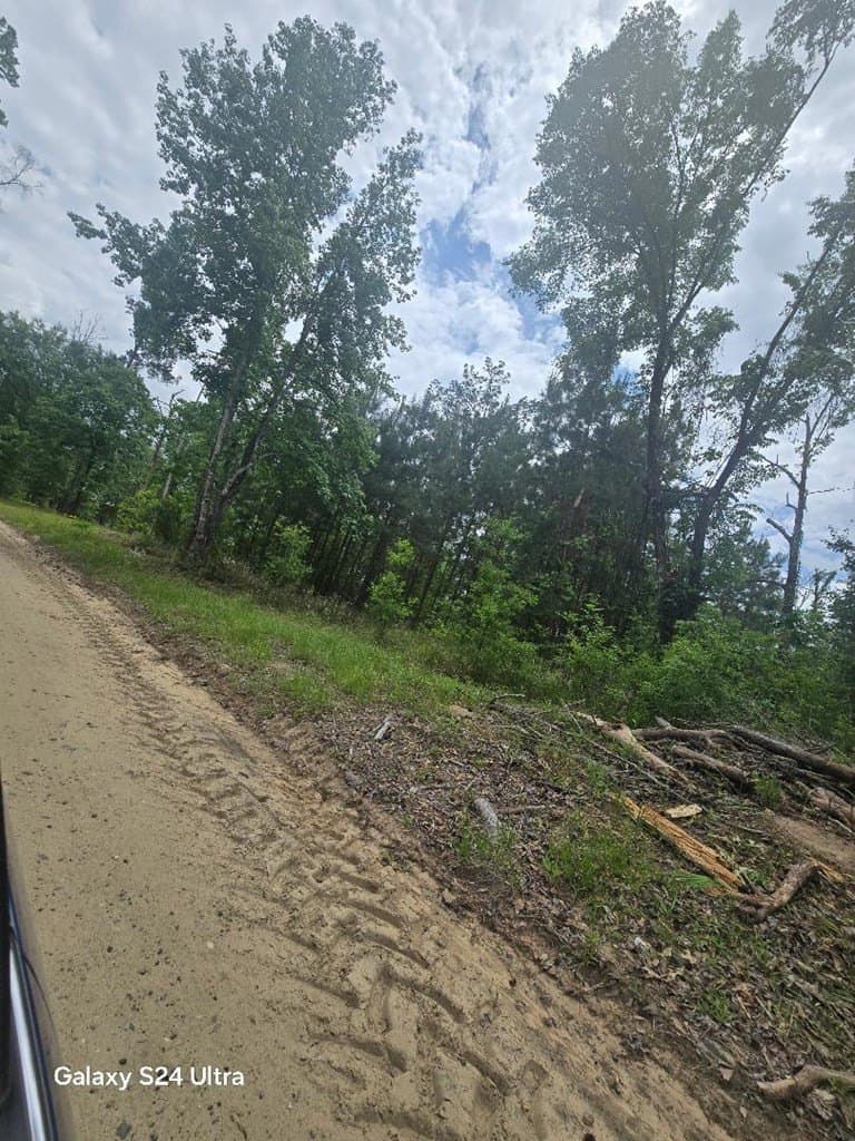 5.18 acres in Texas County gallery image 4