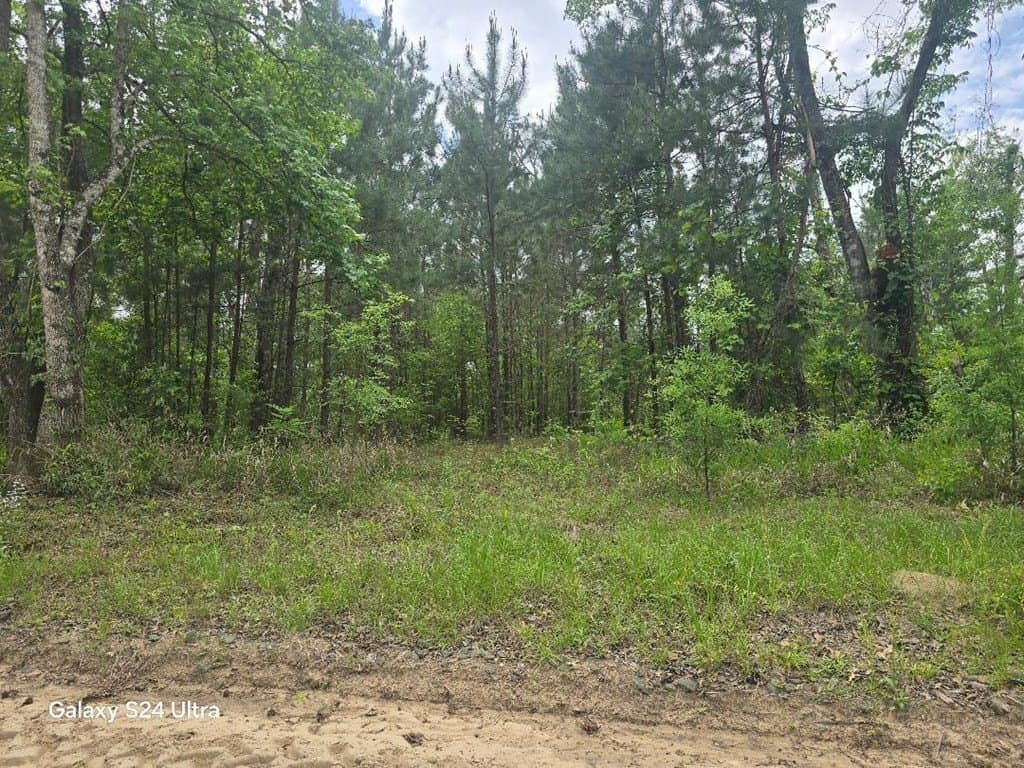5.18 acres in Texas County featured view