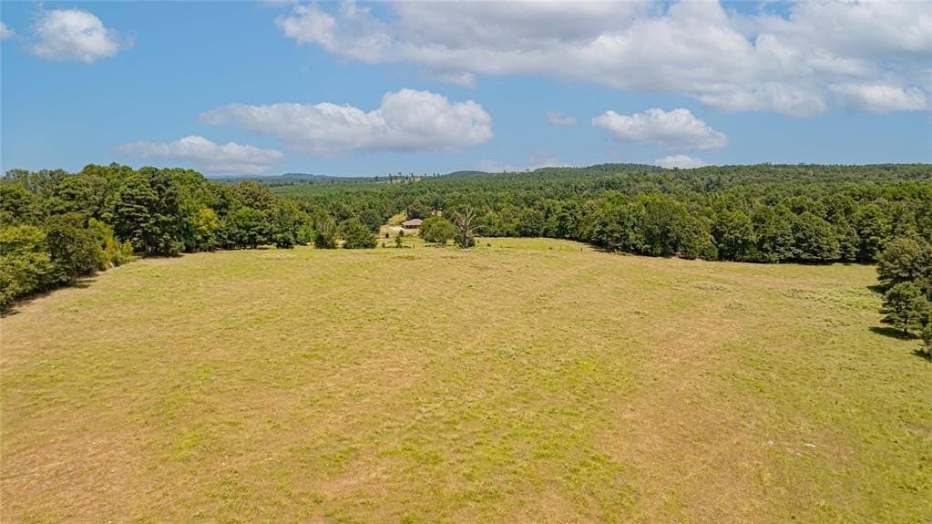 88.56 acres in Upshur County gallery image 4