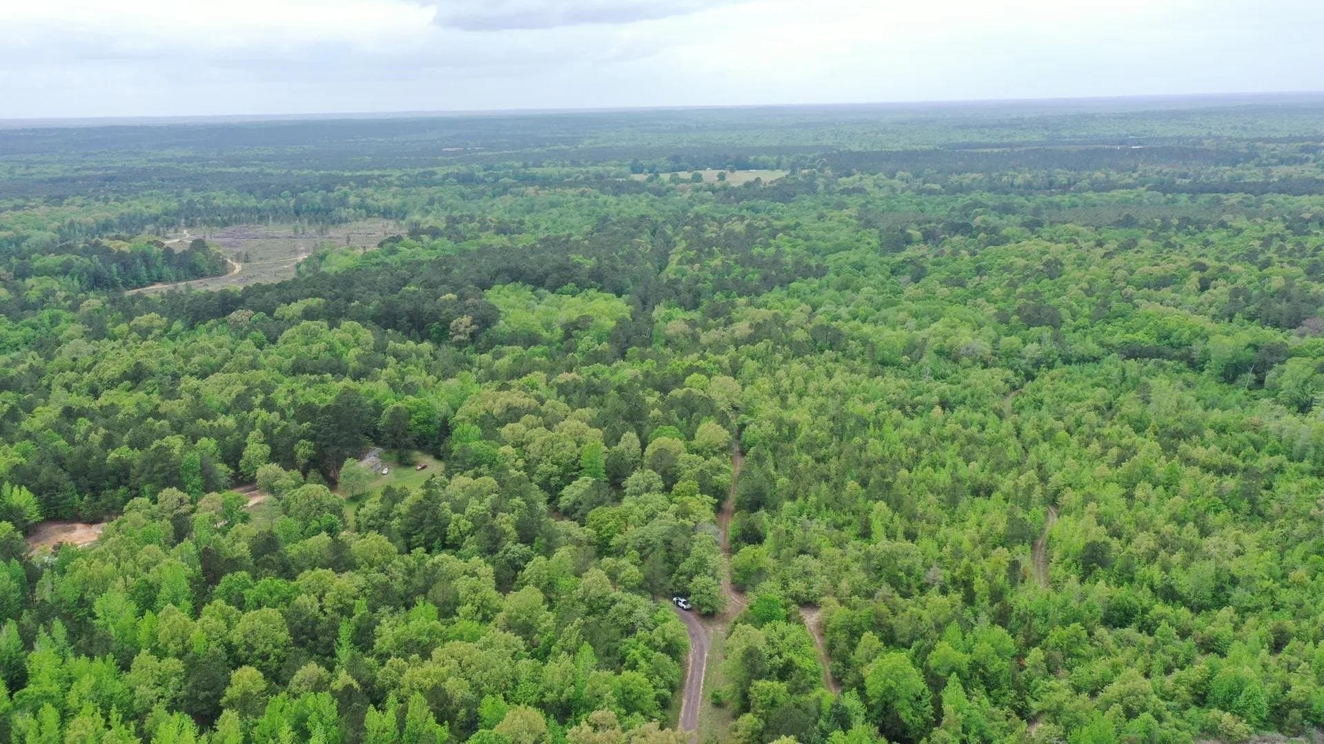 4 acres in Cass County gallery image 3