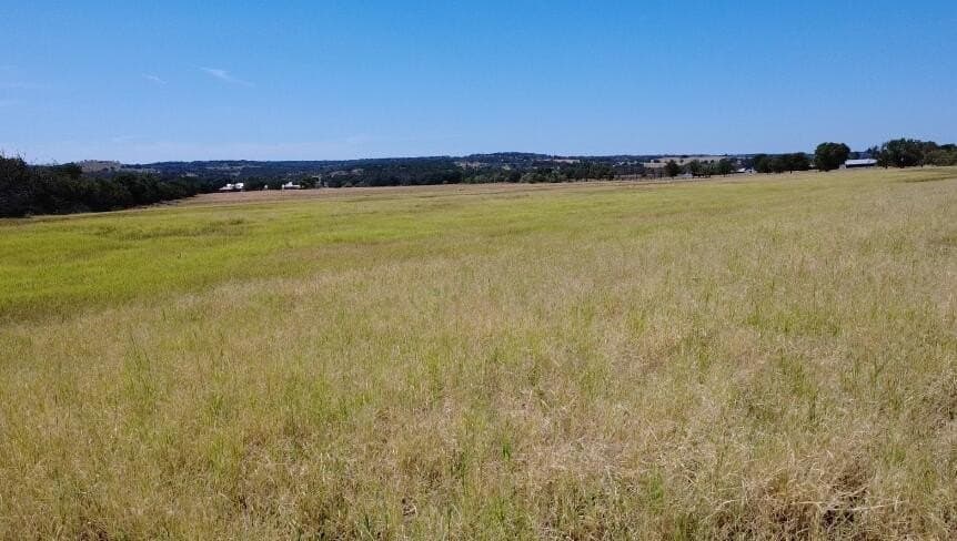 38.08 acres in Gillespie County - photo 5