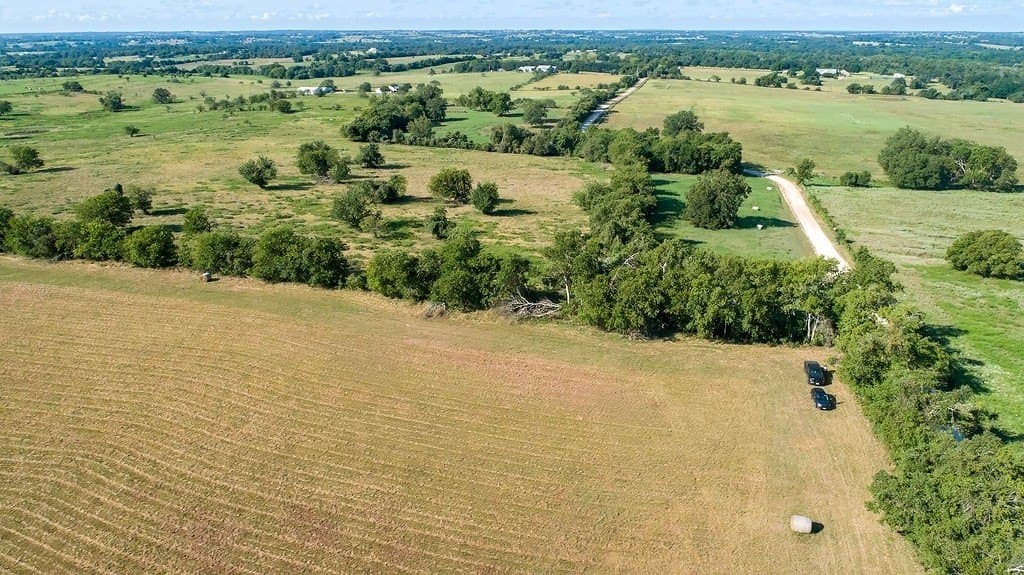 41.5 acres in Austin County gallery image 3